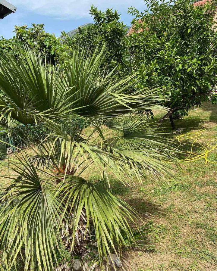 Apartmani Zelenika Herceg Novi Buitenkant foto