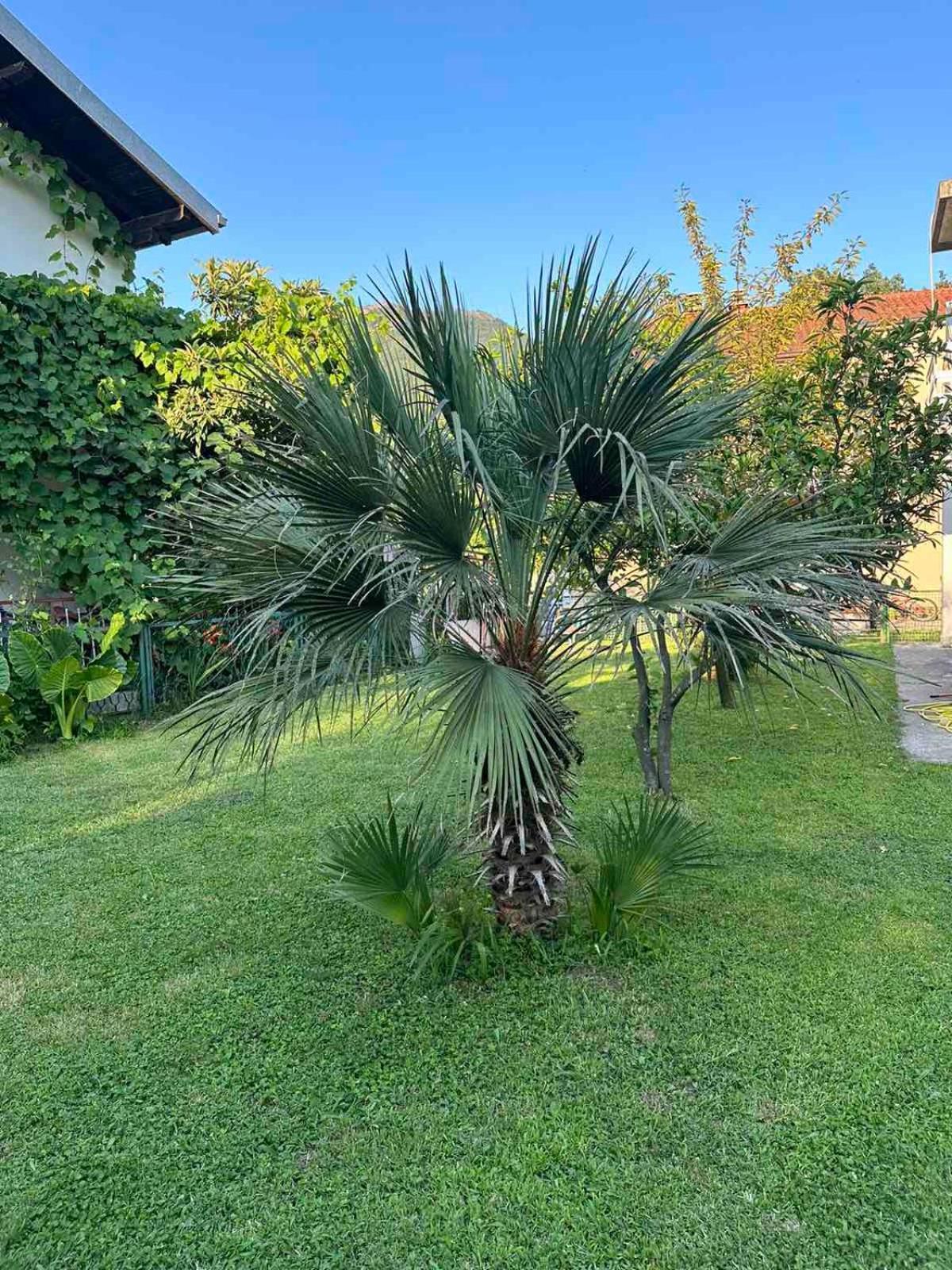 Apartmani Zelenika Herceg Novi Buitenkant foto