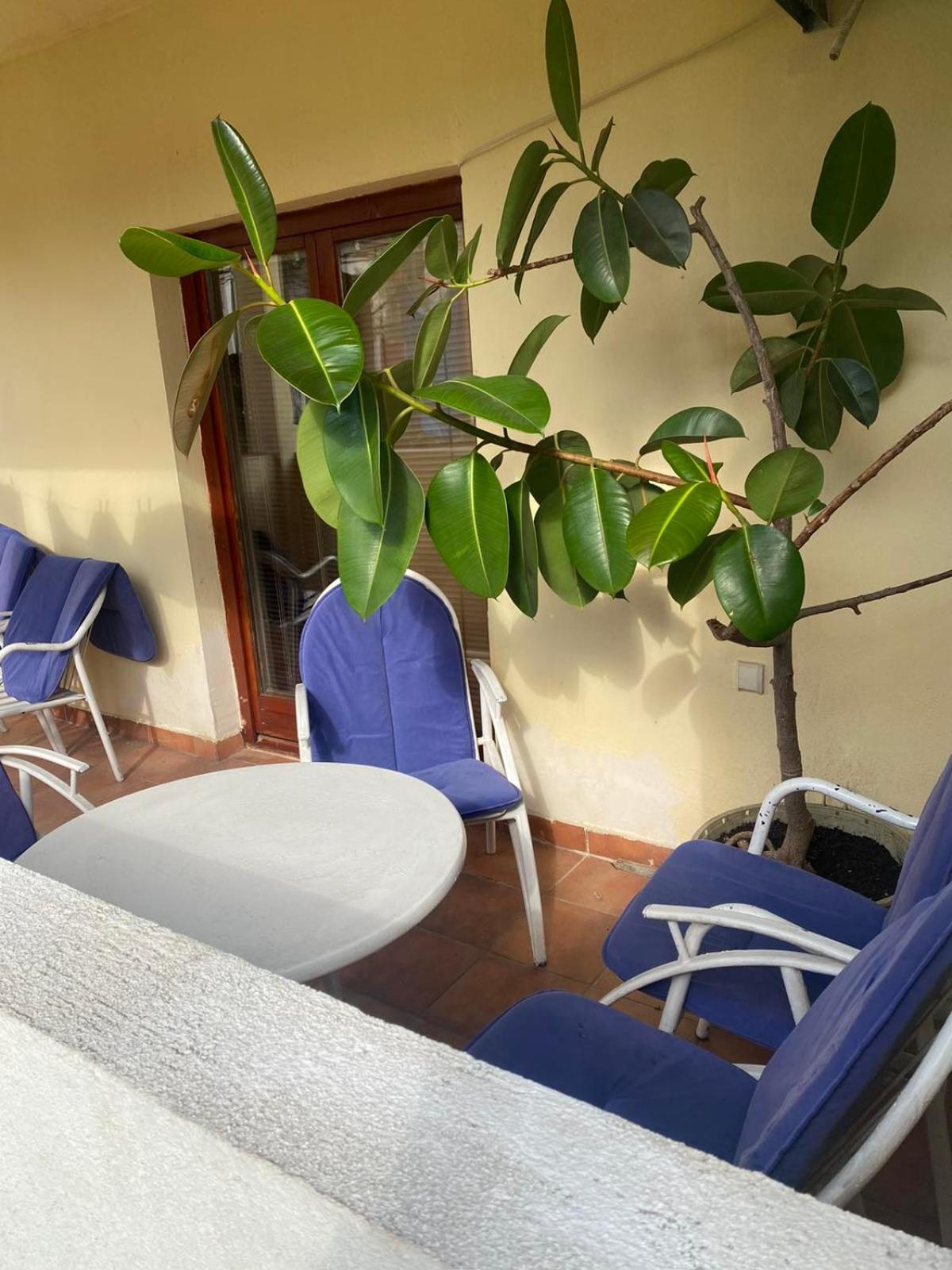 Apartmani Zelenika Herceg Novi Kamer foto