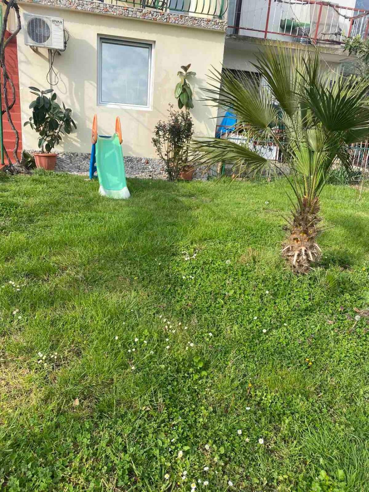 Apartmani Zelenika Herceg Novi Kamer foto