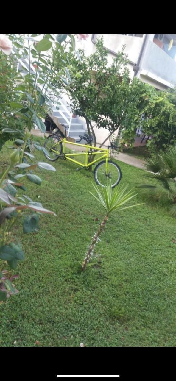 Apartmani Zelenika Herceg Novi Buitenkant foto